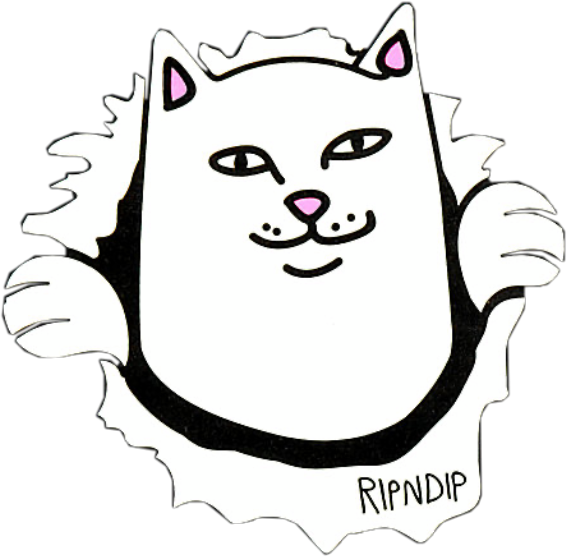 Ripndip